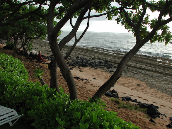 Kauai Beach