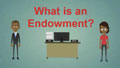 What is Endowment