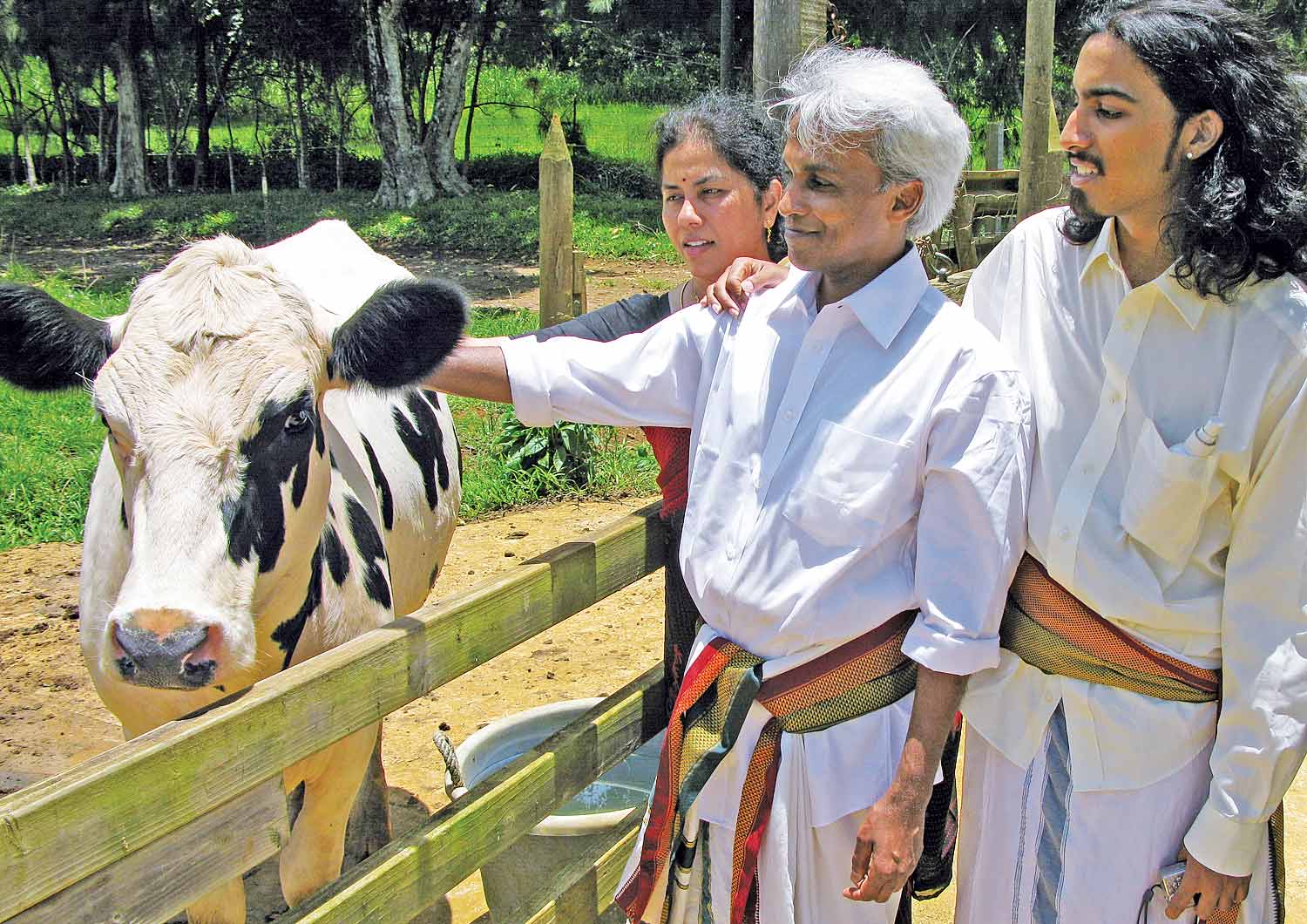 Nigel with Cow